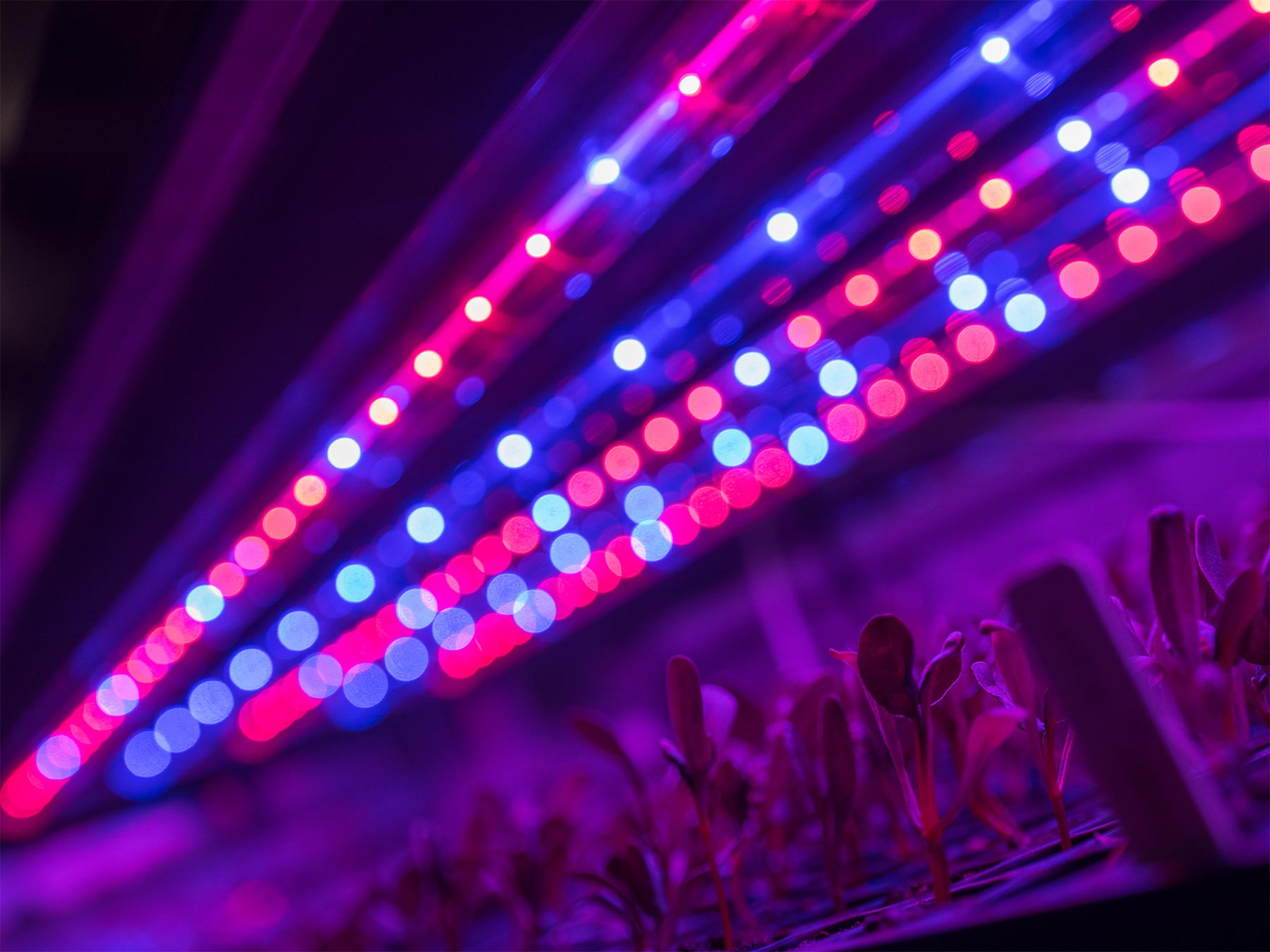Freight Farms Acquires Cabbige