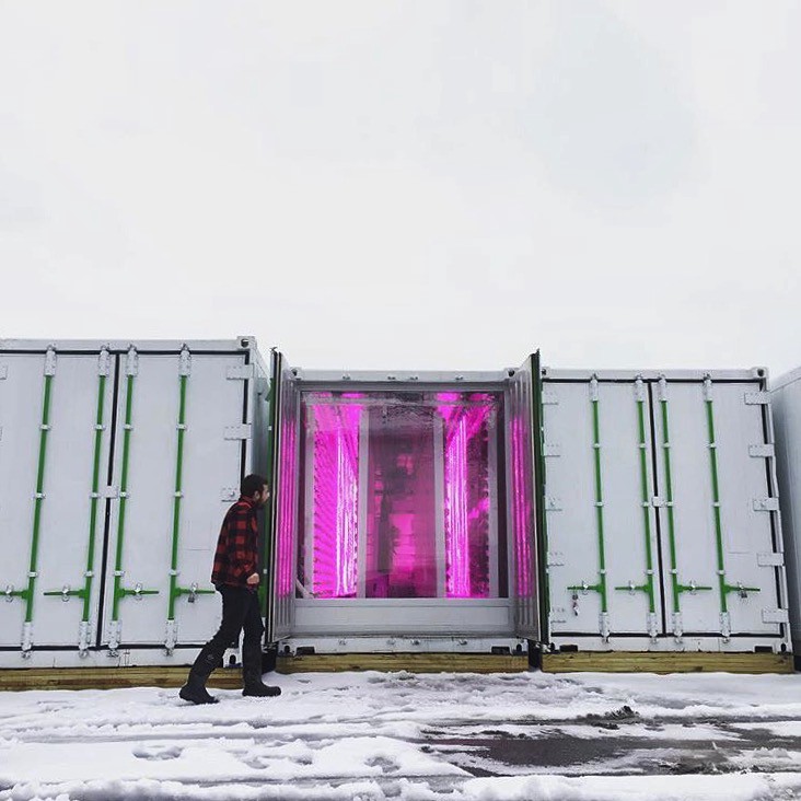 Square Roots-Container-Farm-2.jpeg