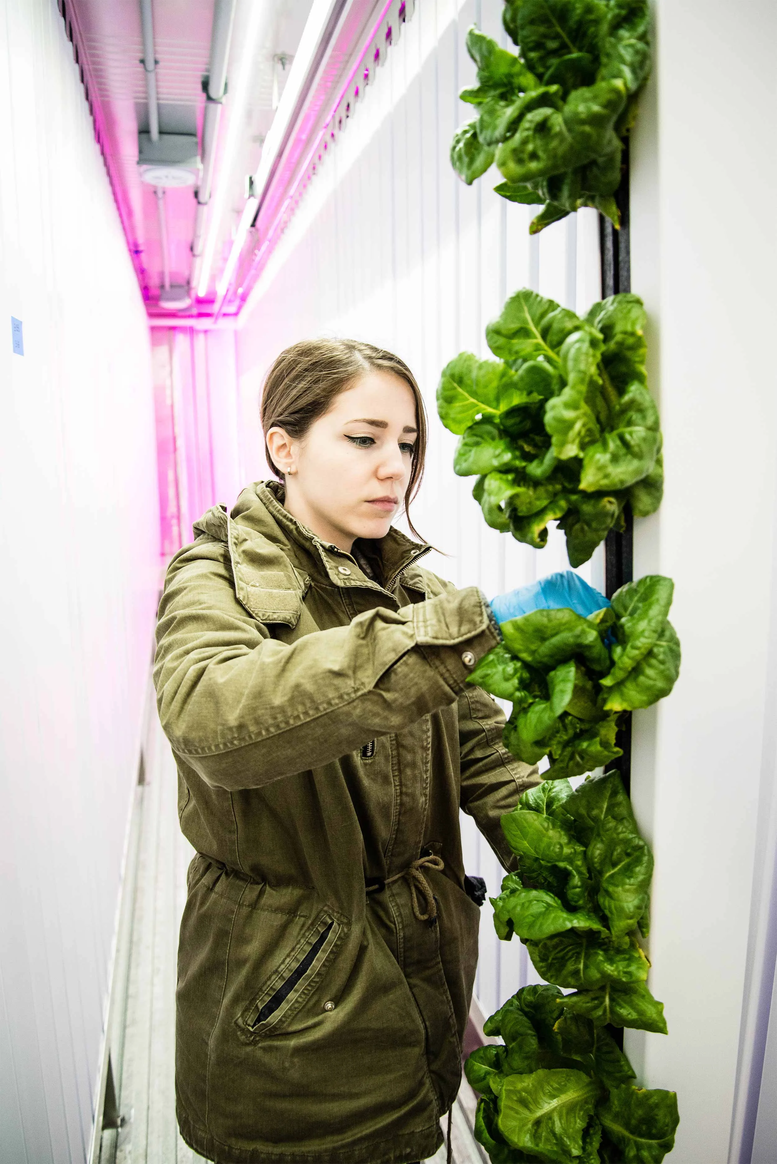 BGood-Container-Farm-2.jpg