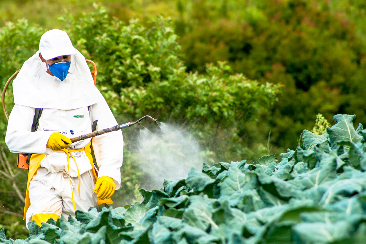 Photo: Civil Eats