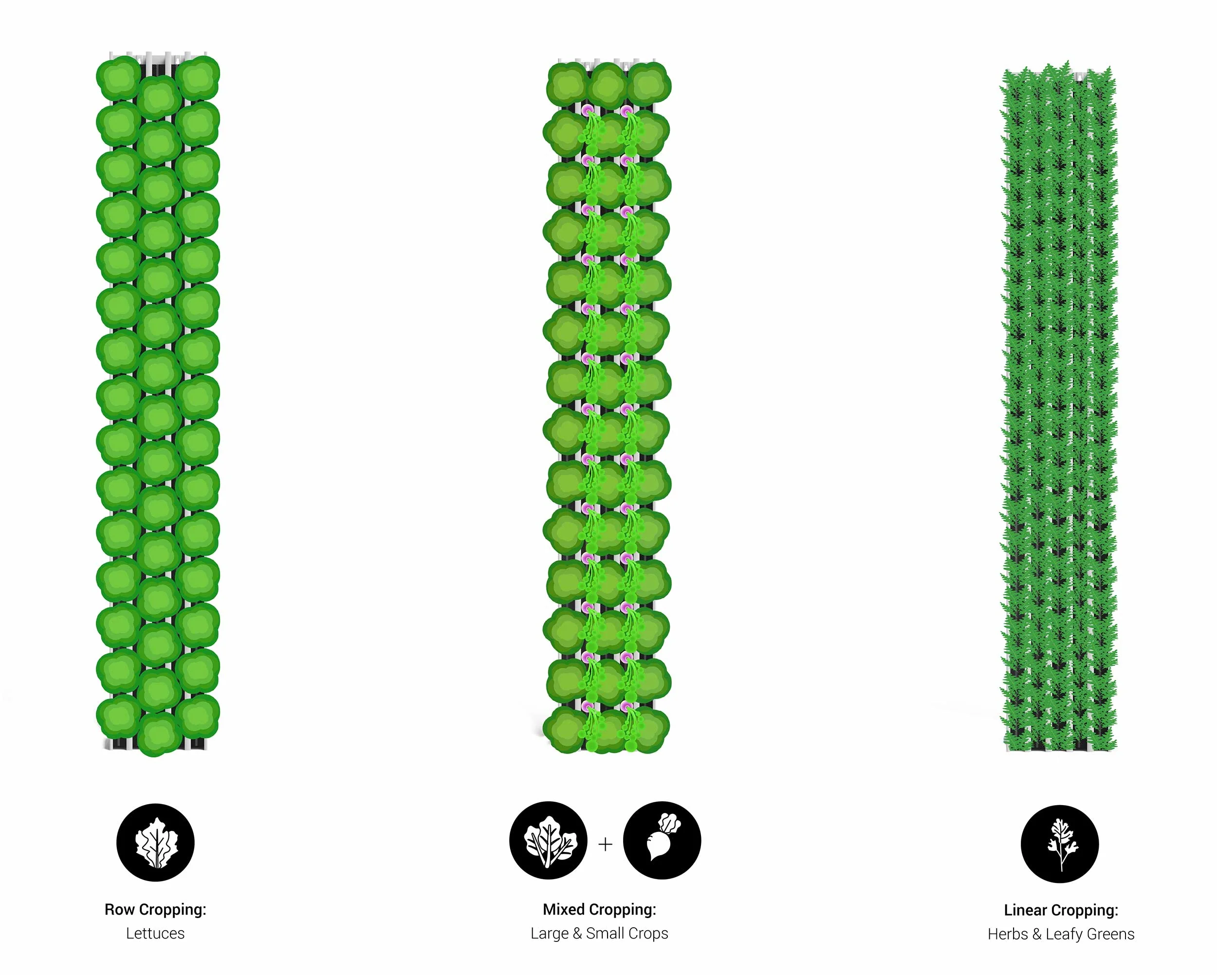 Freight-Farms-Greenery-Intercropping.jpg