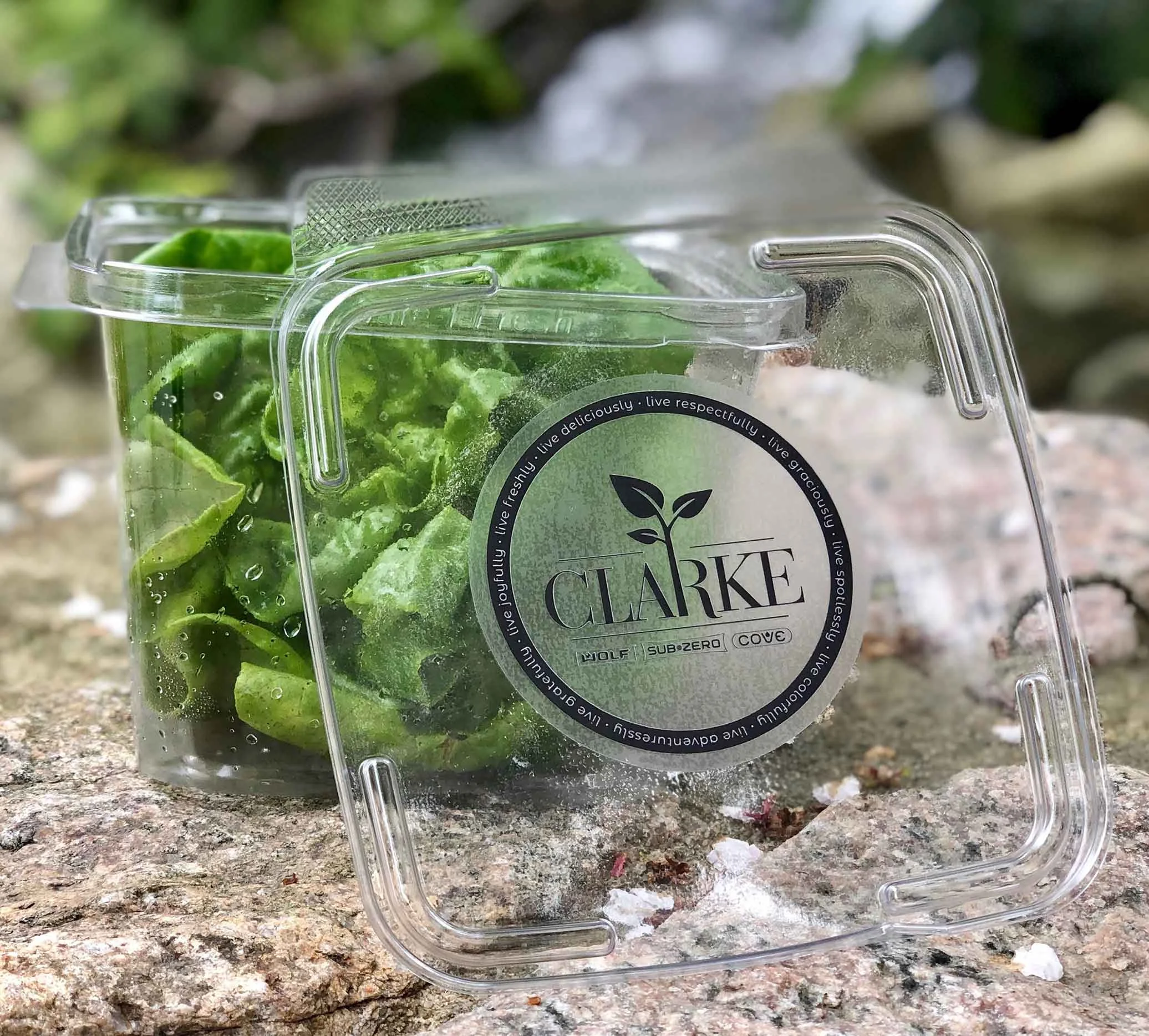 Each showroom visitor receives a gift of an individually-packaged Butter Bibb lettuce head.