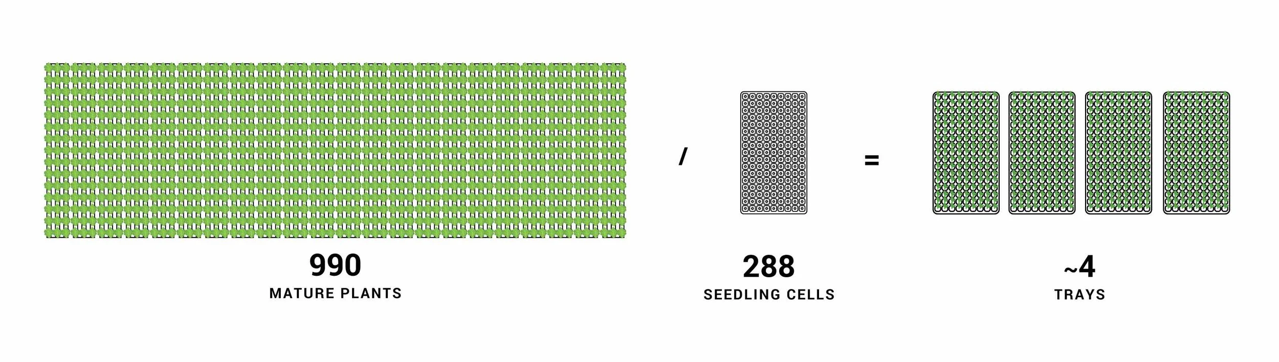 Freight Farms_Vertical Farming_Crop Scheduling_Lettuce_4.jpg