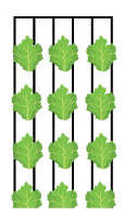 Row planting for bigger crops in channels 1, 3, 5