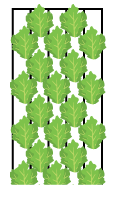 Linear planting for smaller crops in all channels (1-5)
