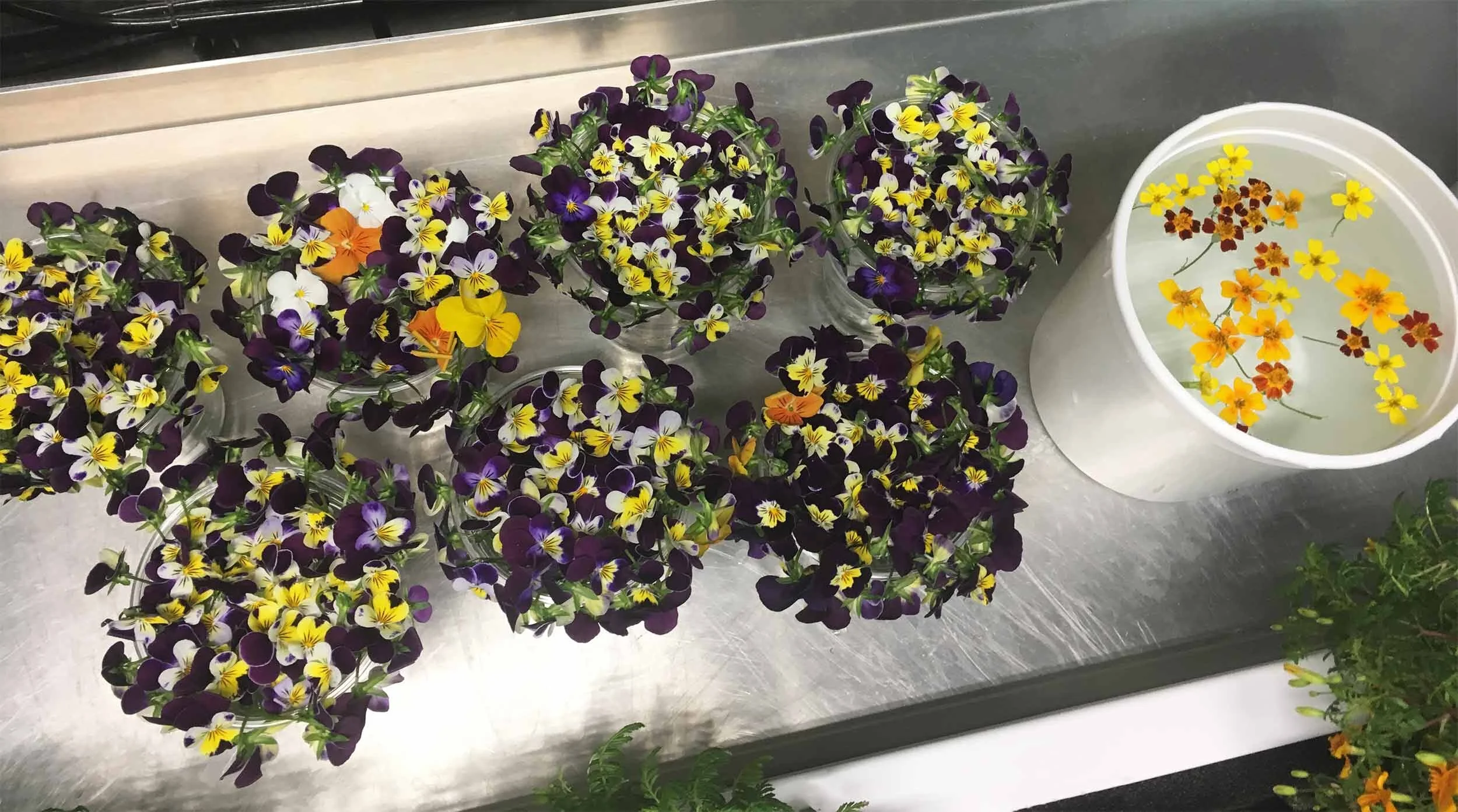 Freight Farms_St. Joseph's_Flowers.jpg