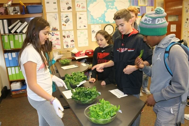 Green Thumbs at School: Why Urban Farming Captivates K-12 Students