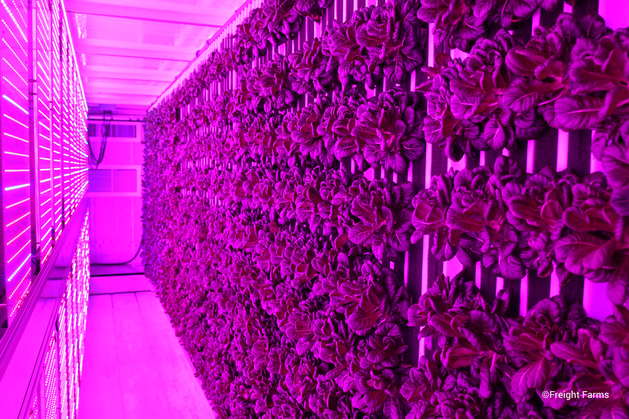 Freight Farms &amp; Sodexo Announce Partnership to Grow Food Onsite at School Campuses Across the U.S.