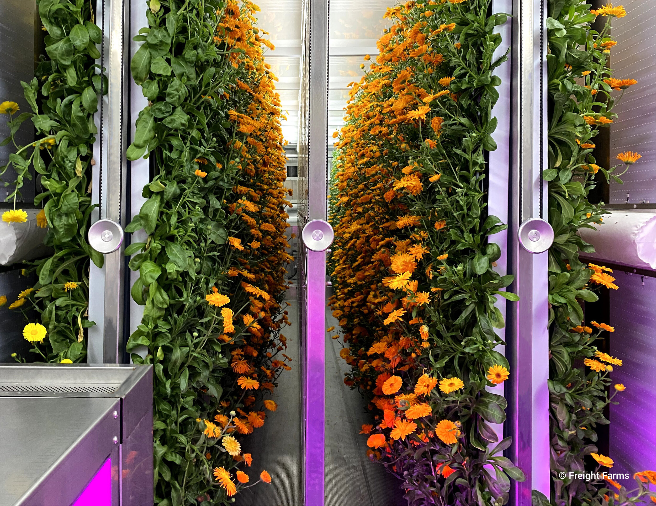 Ospraie Ag Science Invests in Freight Farms to Help Decentralize the Food System 
