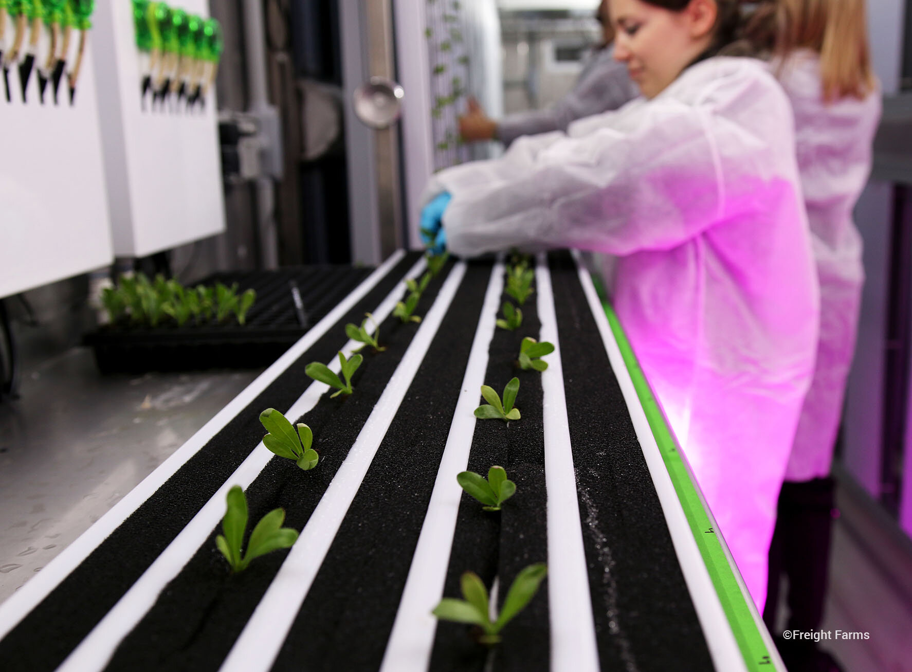 The Greenery, by Freight Farms