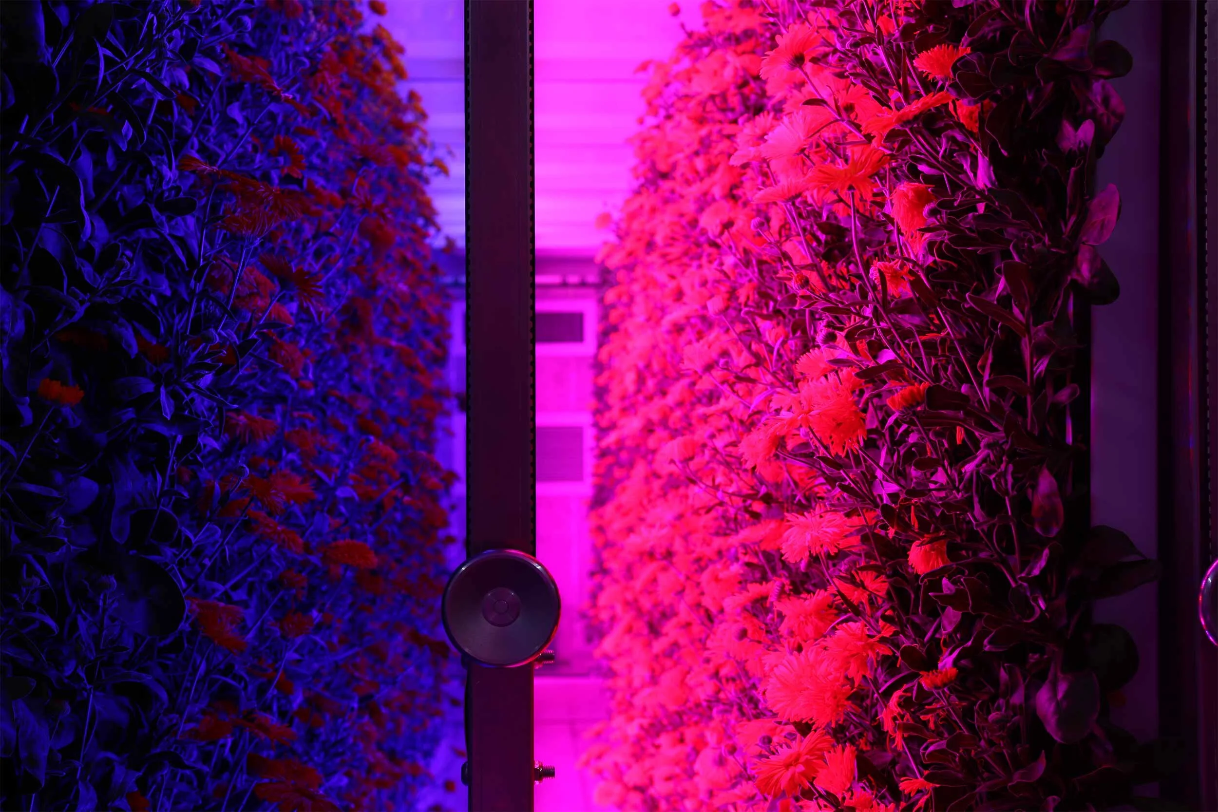 From Hydroponics to Climate Control: The Technology Powering Container Farms