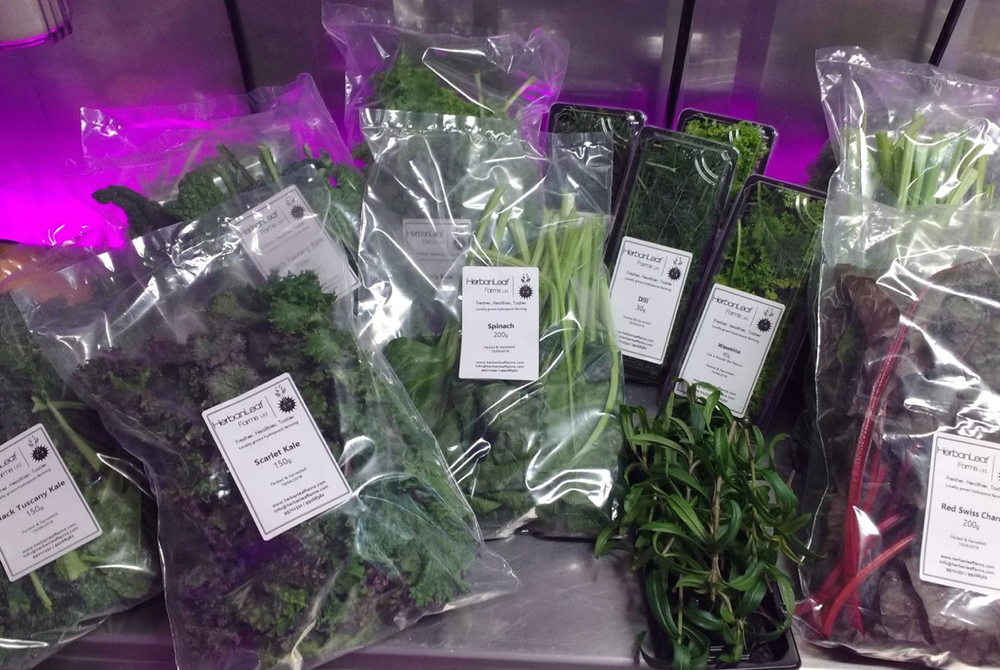 Case Study: Square Roots Container Farm