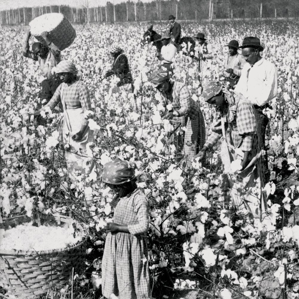 Slave Rations The History of Our Food System is Rooted in Racism