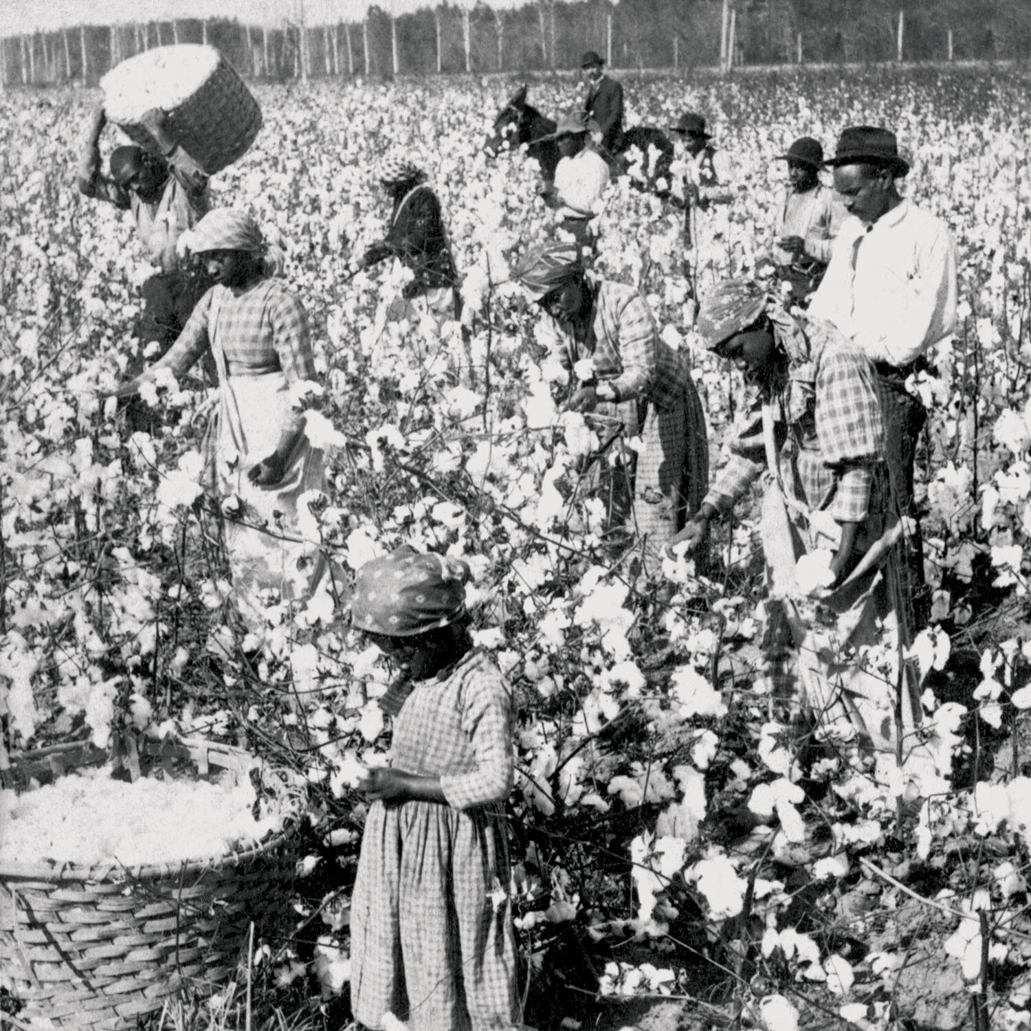 The History of Our Food System is Rooted in Racism