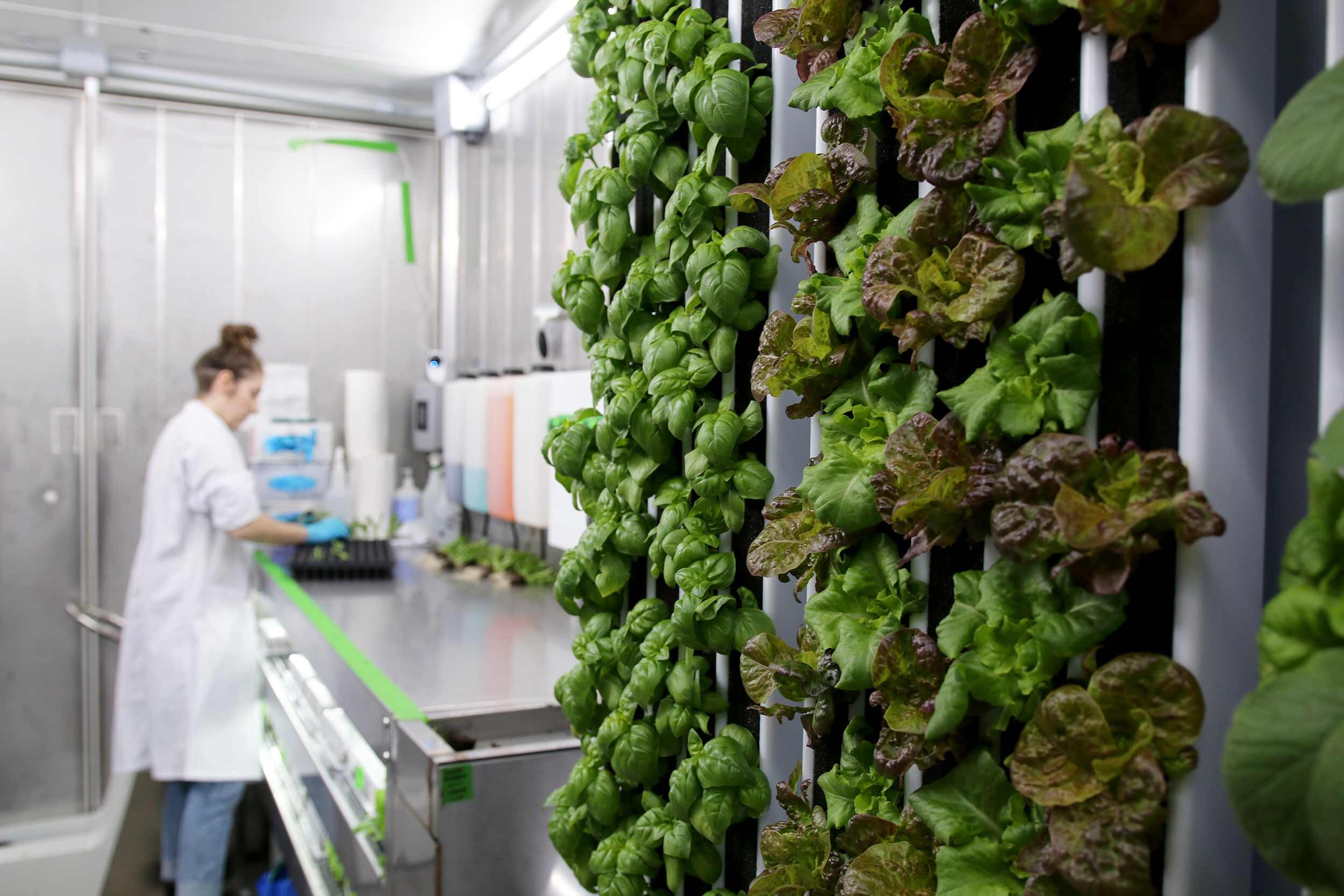 Greenery Vertical Farm