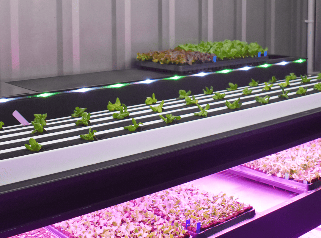 The Tabletop Riser features an LED strip to assist in farming operations