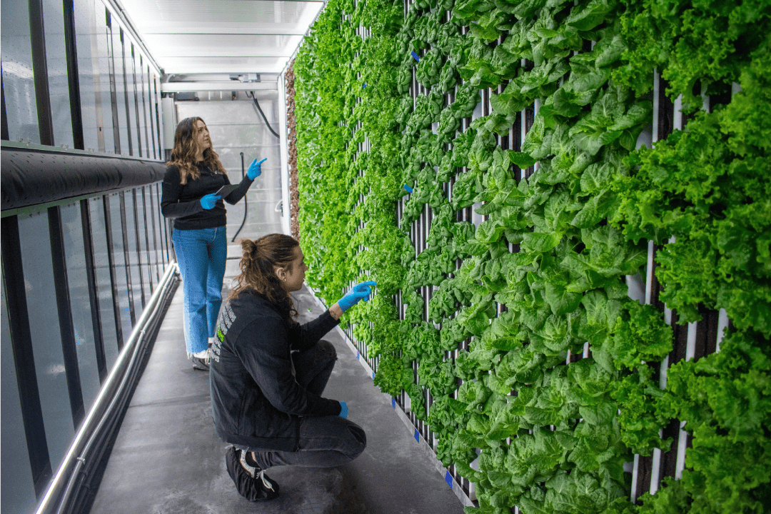 Start a Farming Business | Urban Farming Project Planning - Freight Farms