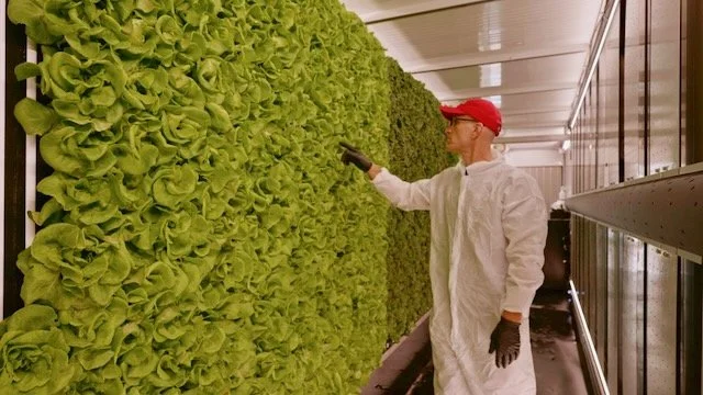 Freight Farms Partners with Biosphere 2 to Pioneer the Future of Indoor Agriculture