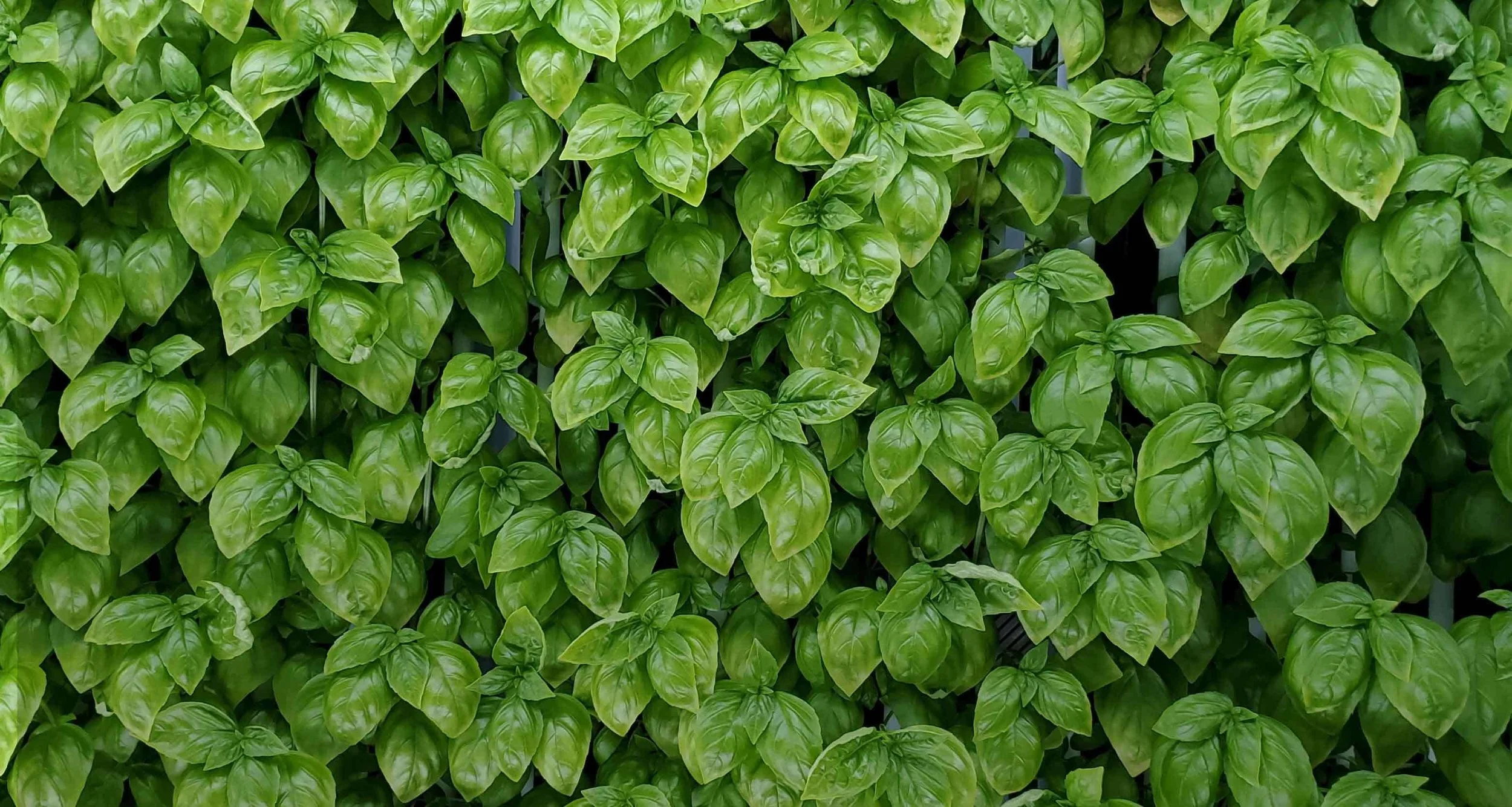 Freight Farms_404 Page.jpg