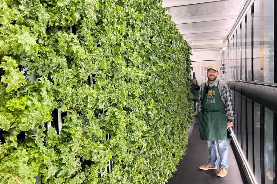 Greenhouse Update: Large Scale Hydroponics - Saint Louis Science Center