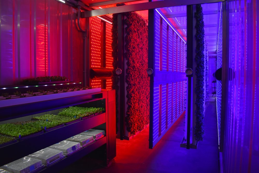 Our Container Farm