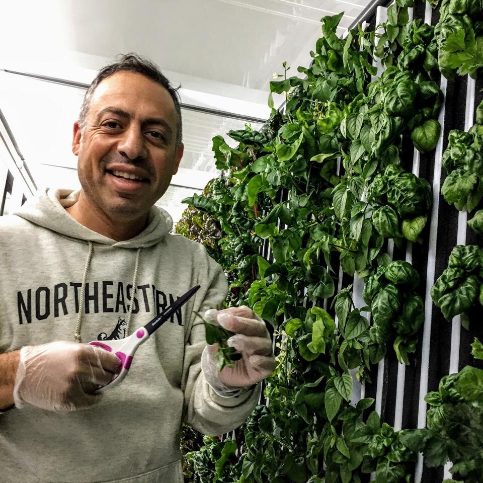 FORBES: Through New Partnership, Hydroponic Farmers Get Access To Clean Energy