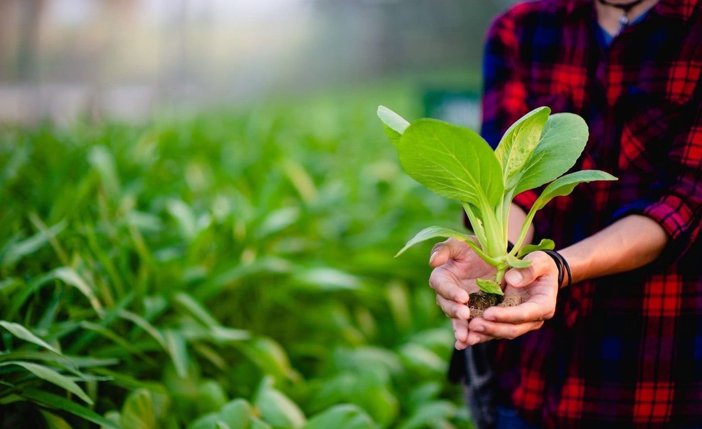 THE HILL: Hydroponic container farming company joins forces with renewable energy provider