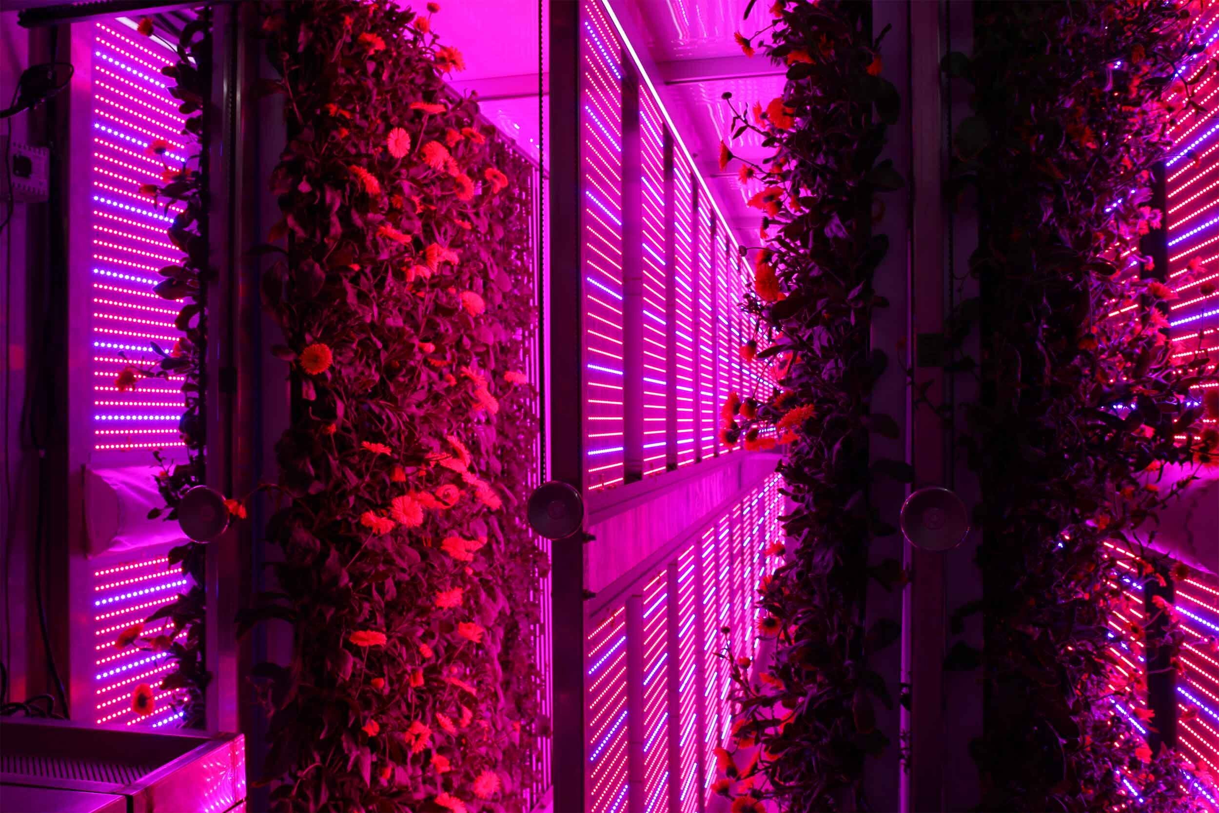 YAHOO! FINANCE: New Partnership Between Freight Farms and Arcadia Brings Clean Energy to Indoor Farming