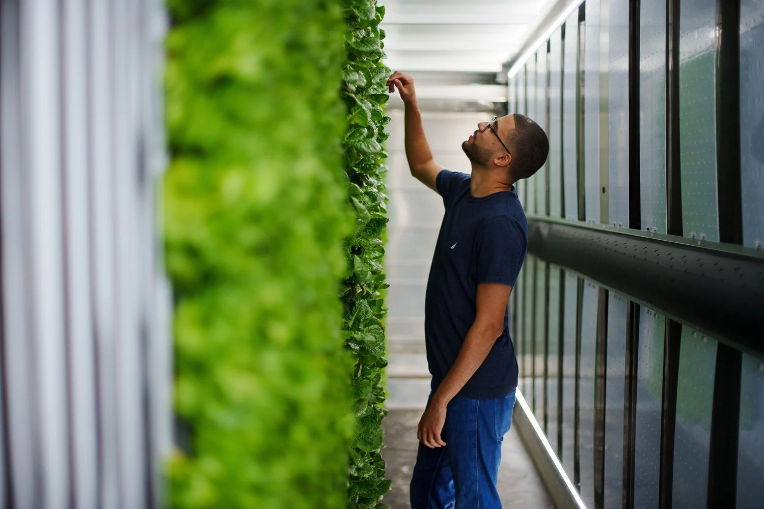 Cultivating Fresh Food, a Successful Business, and Long-Term Sustainability for the Cayman Islands