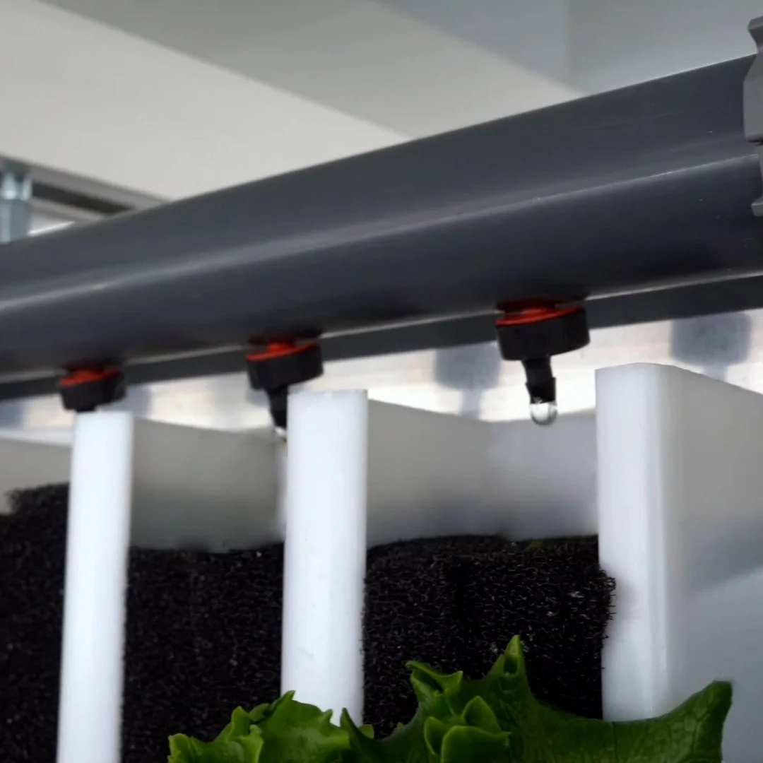 How the Greenery™ Uses Hydroponics to Save Water