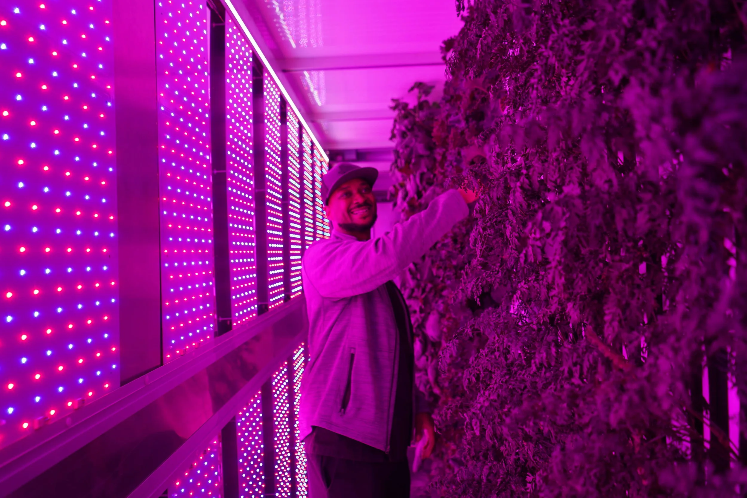 case-studies-and-testimonials-freight-farm-success-stories