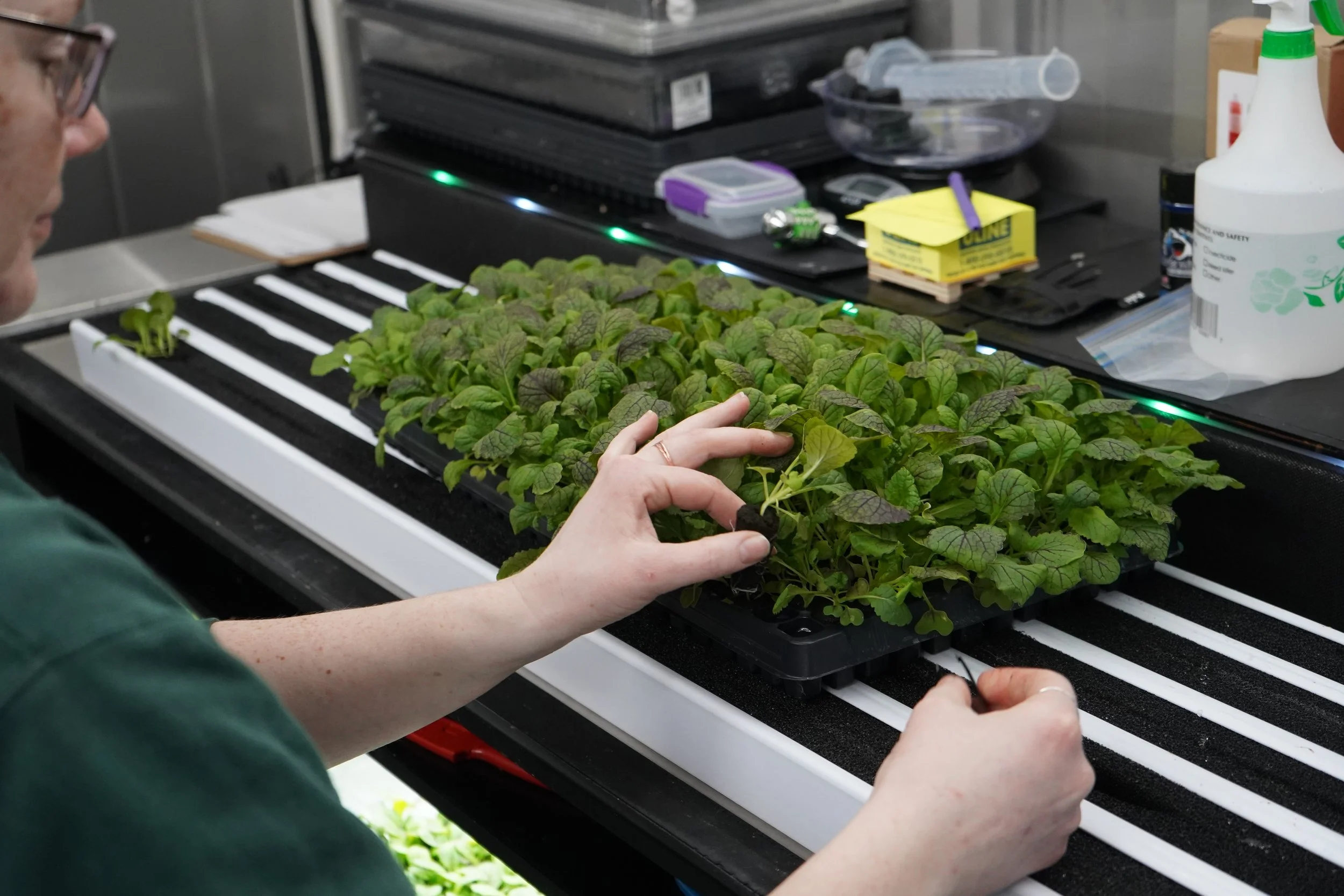 How to Keep your Freight Farm Clean and Productive: Essential Tips for Success