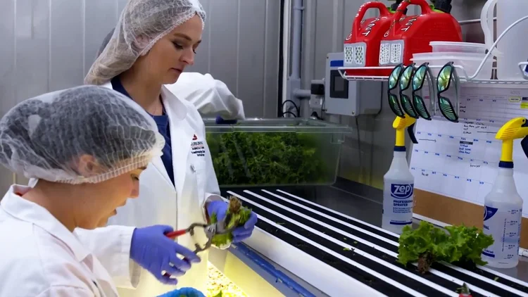 Agriculture Students in Auburn University's Freight Farm