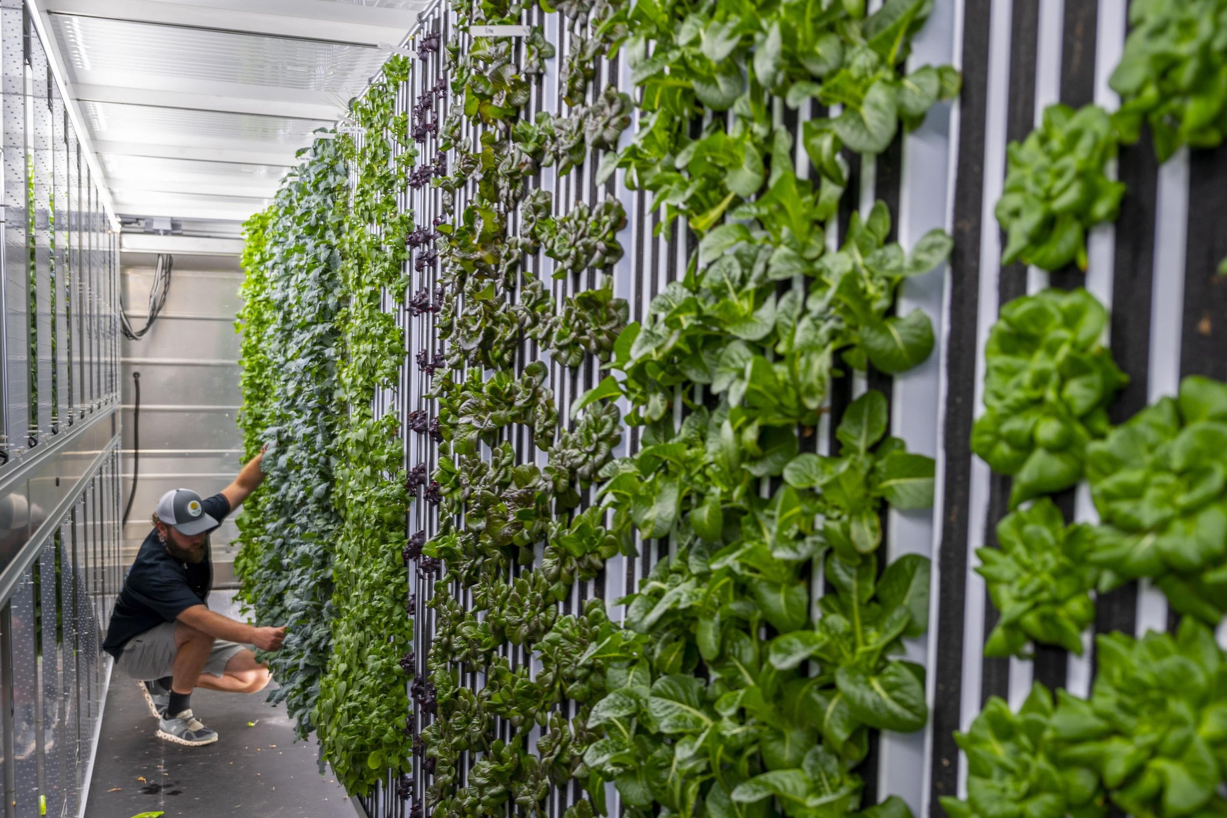 Hamilton Horne's 10 Tips for How to Sell Produce to Restaurants