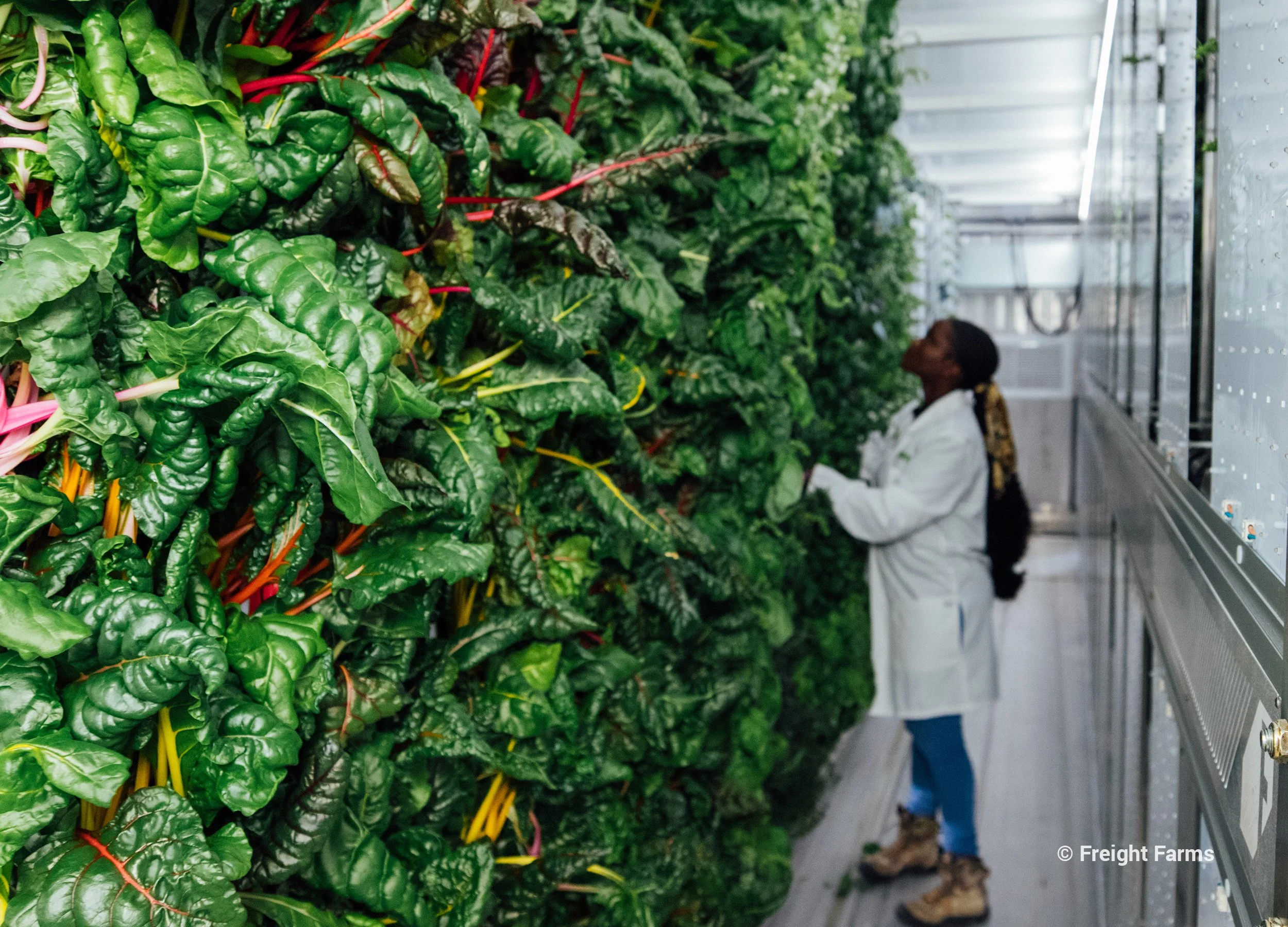 Freight-Farms-Gallery-Grow-Rows-15.jpg
