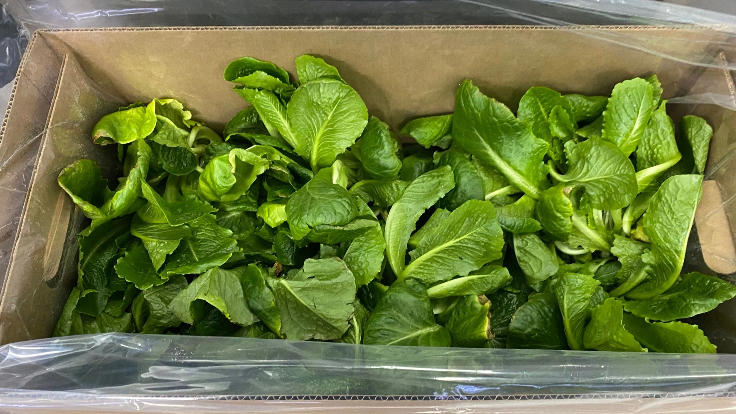 8 Types of Produce Packaging (and the pros and cons of each)