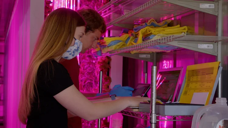 stem-in-agriculture-education-research