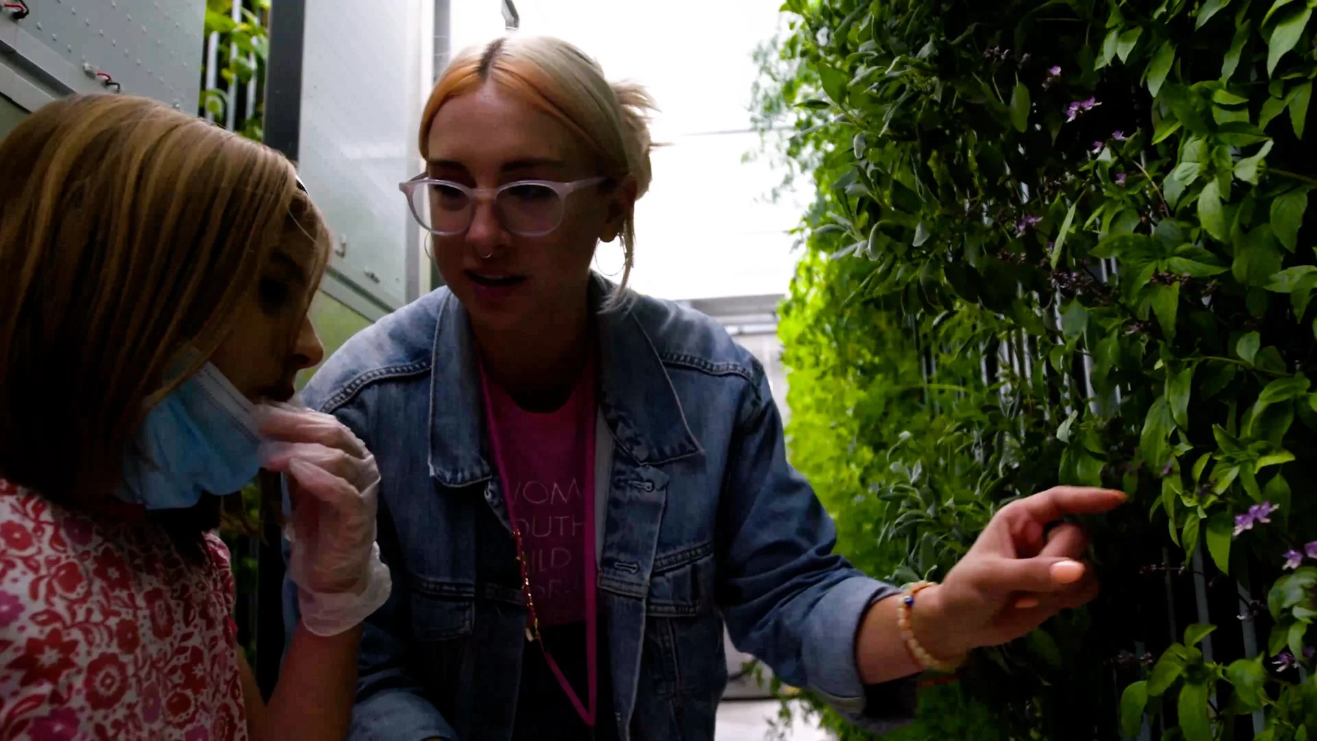 Why 10 Nonprofits Started Container Farms (and How They Did It)