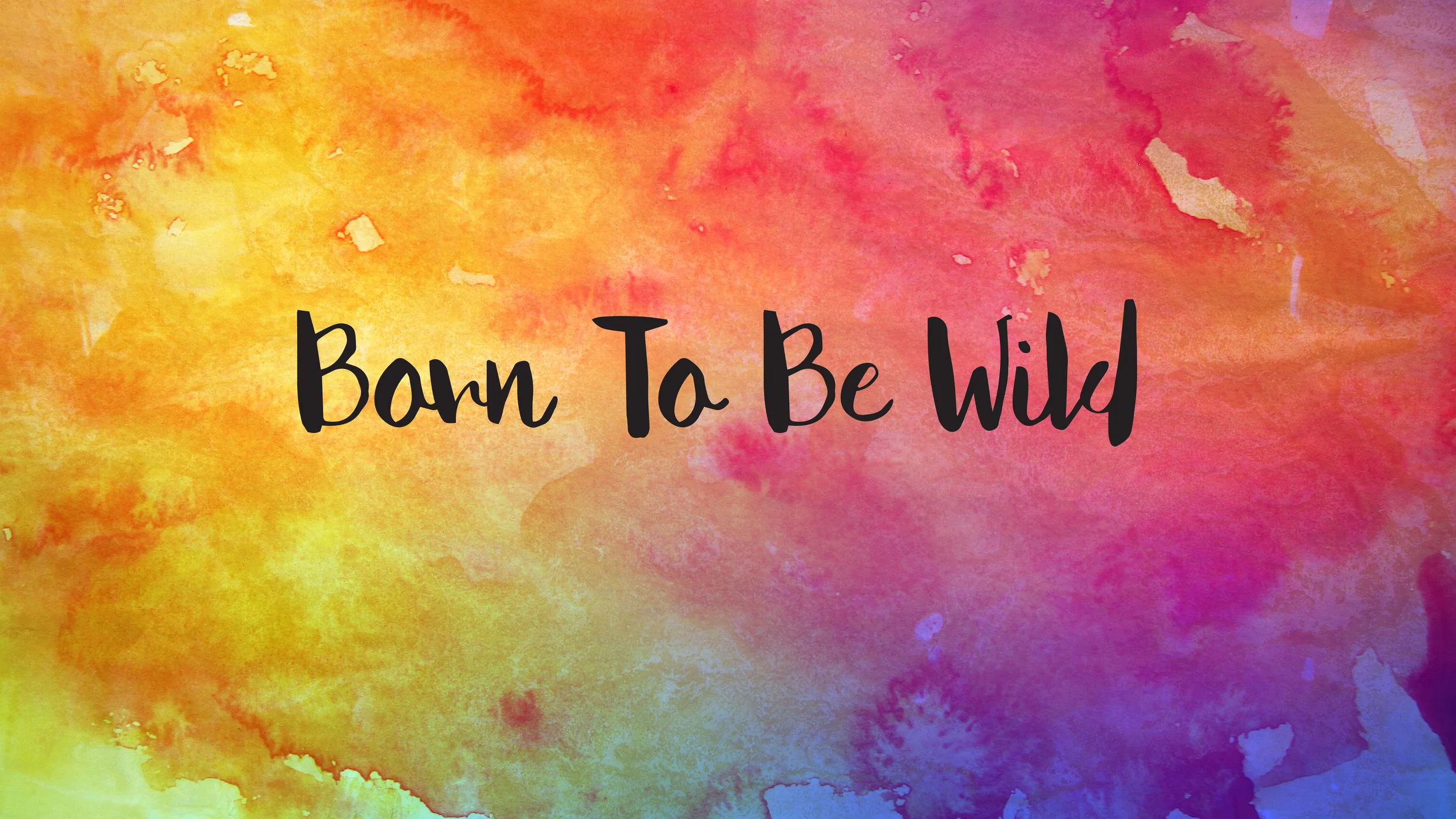 Born To Be Wild : December 27, 2015
