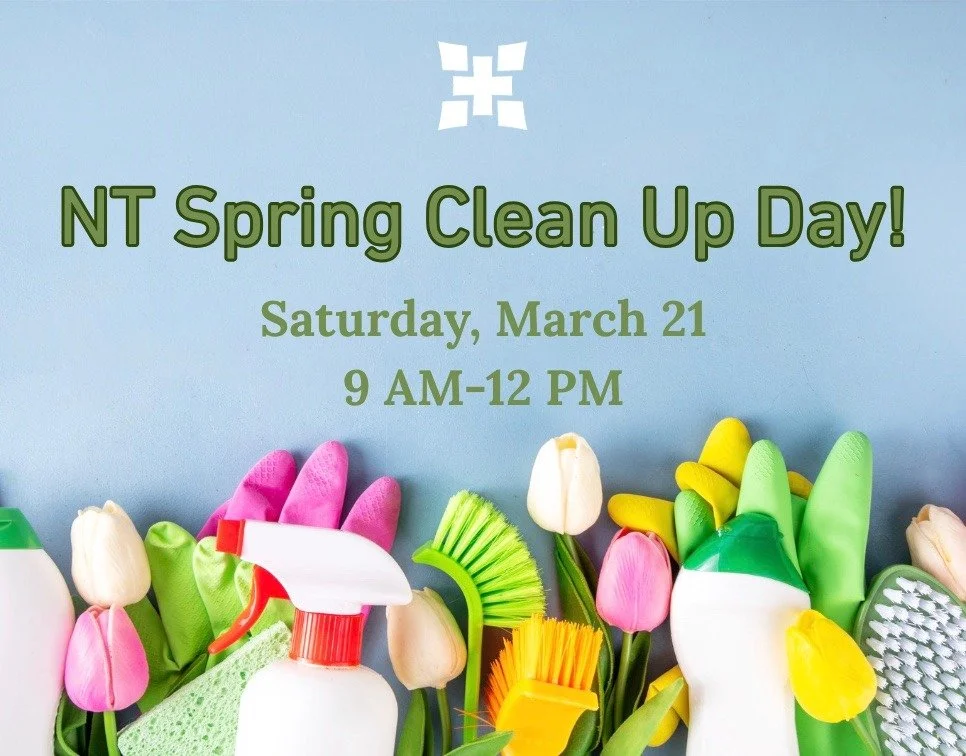 Spring Clean Up