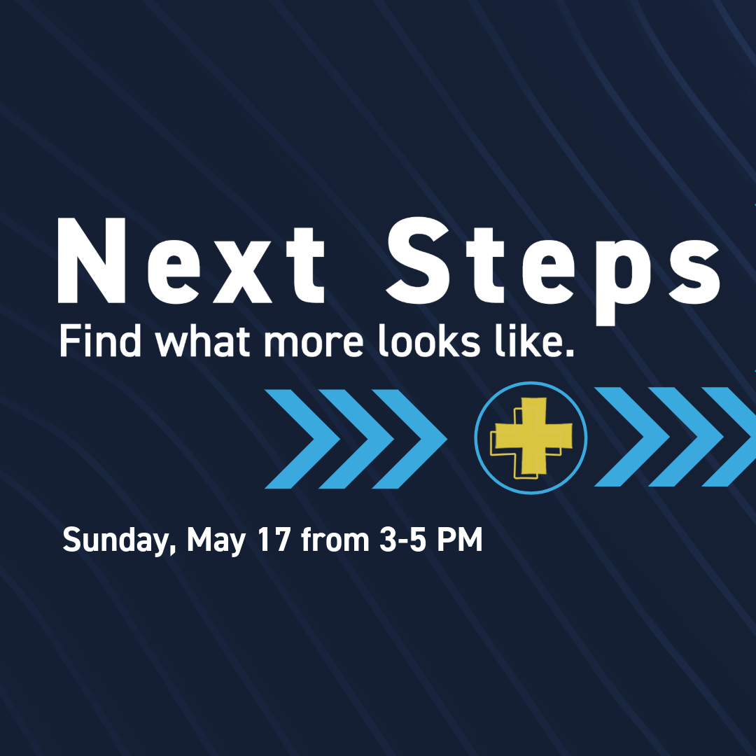 Next Steps - May 17
