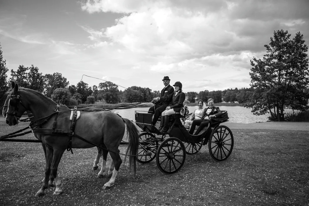 HS2A0473_bw.jpg