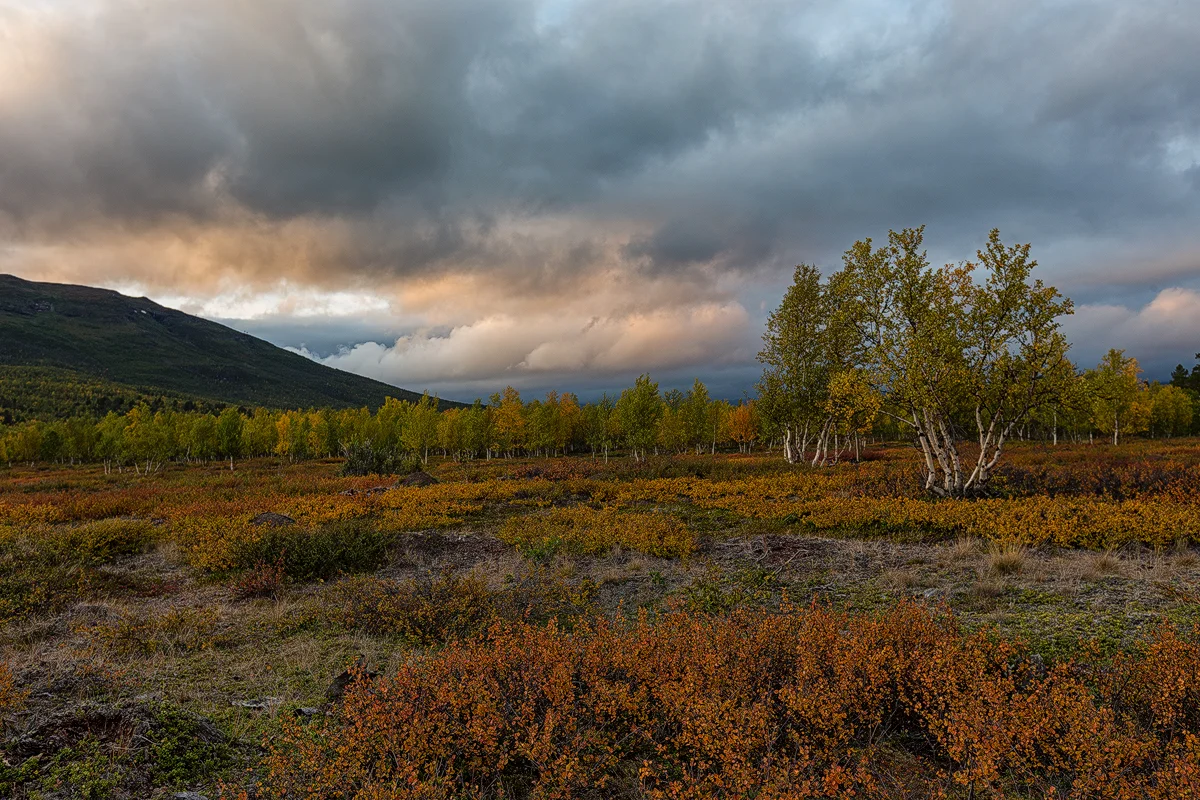 abisko6.jpg