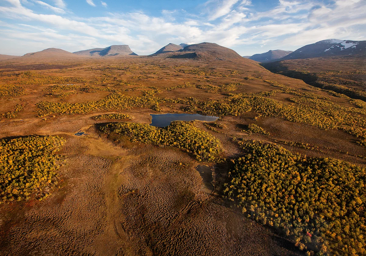 abisko20.jpg
