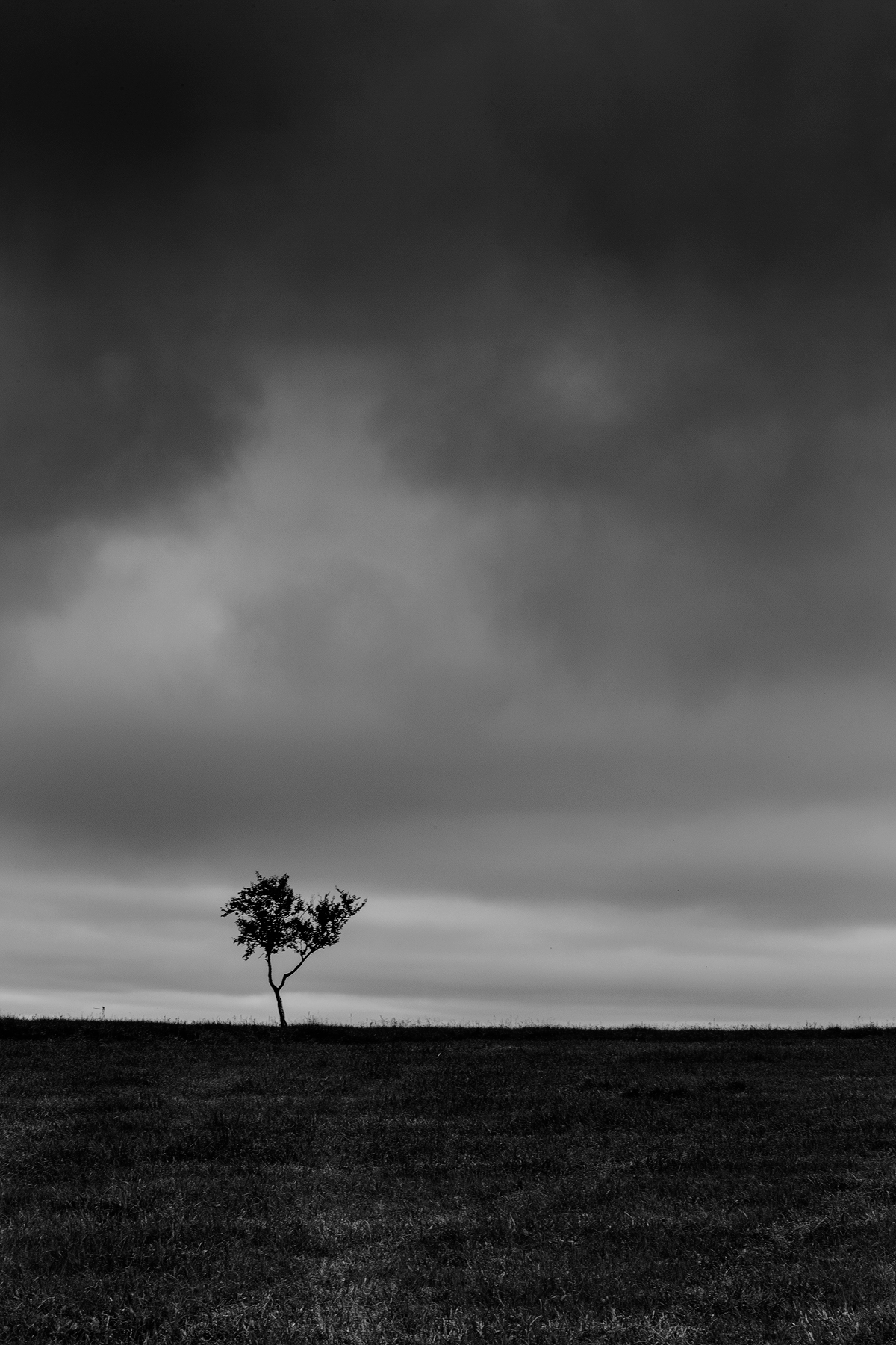 island33.jpg