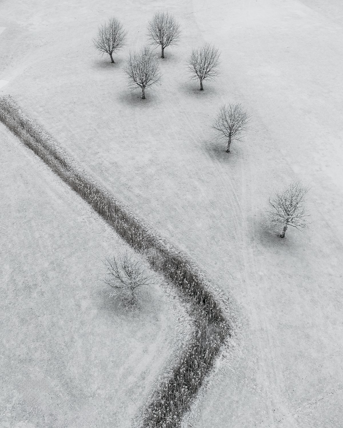 winterfreeze_03.jpg