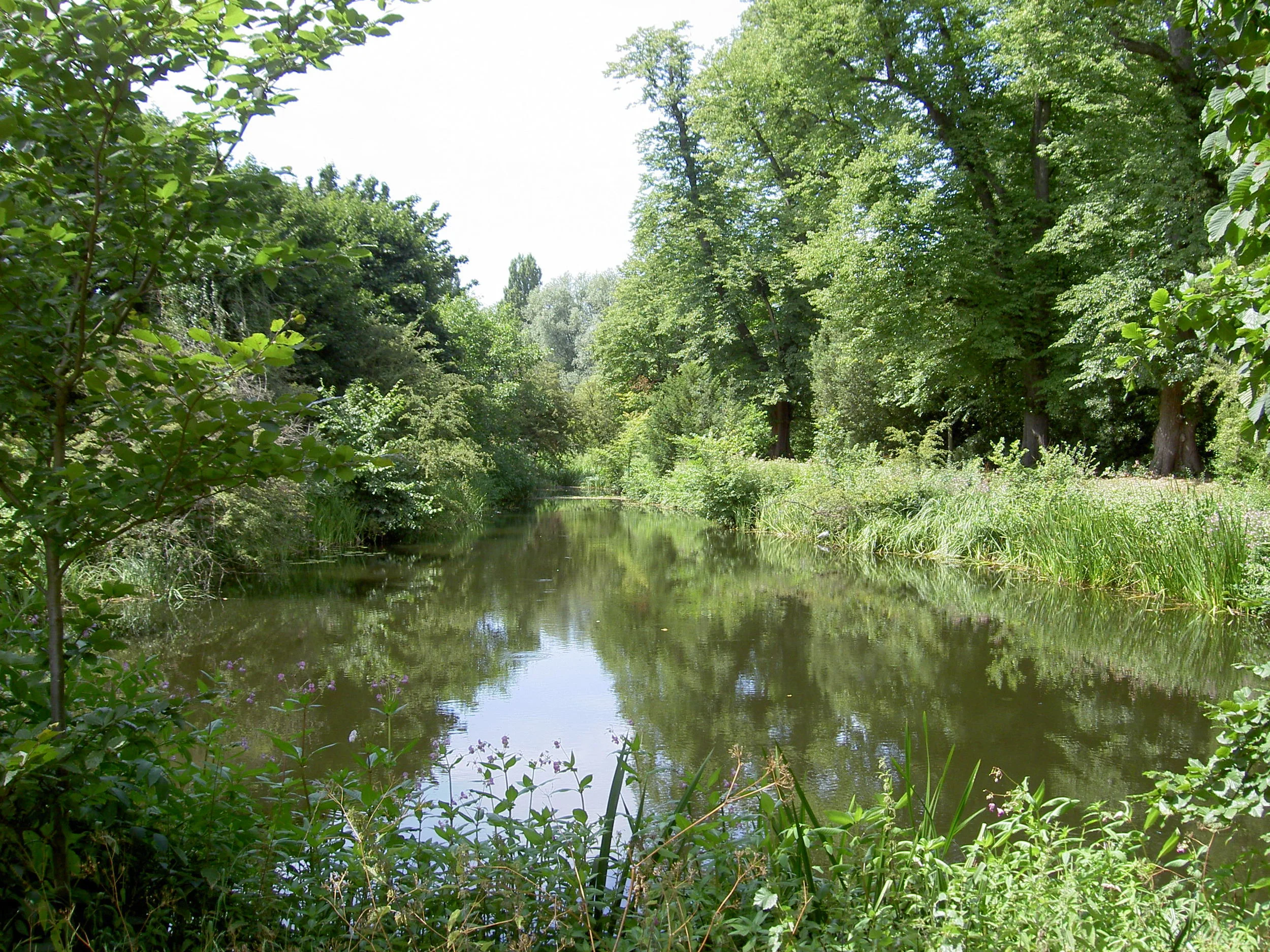   The Wholesome Peapod    Exercise and Lifestyle Coaching    Contact Jill today  