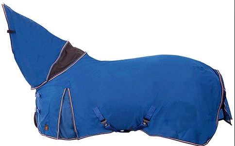 brflysheet.png