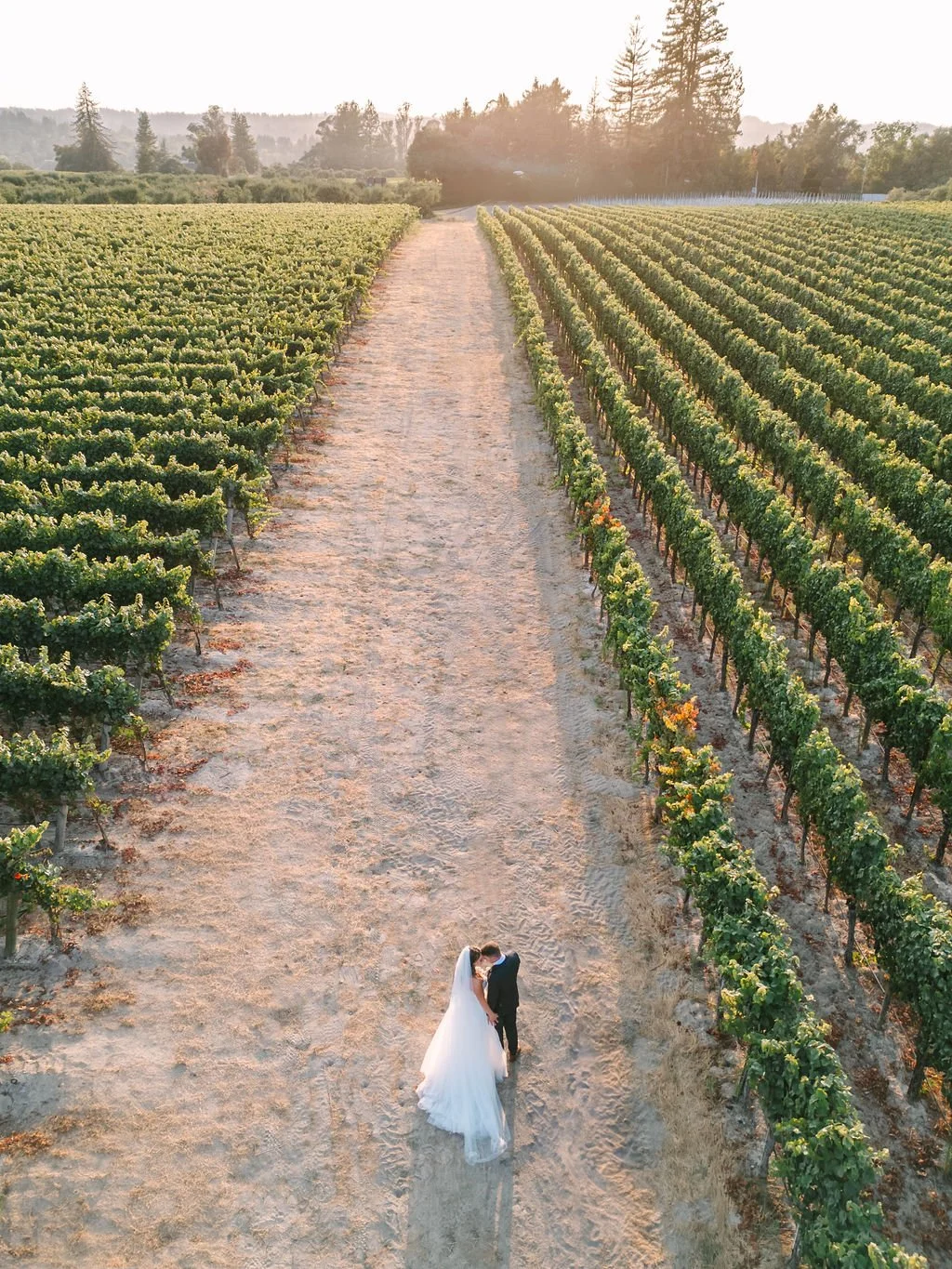 AmyJordanPhotography_Highlights_161.jpg