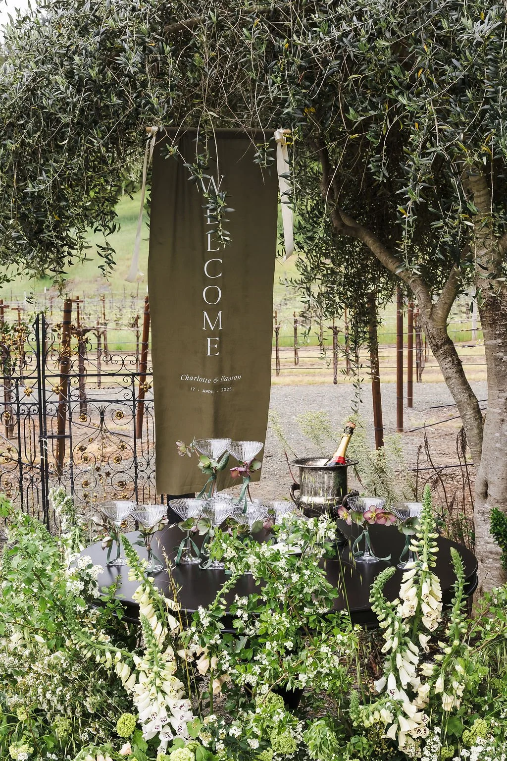 Vineyard Wedding Ceremony  – Napa Valley | L’Relyea Events